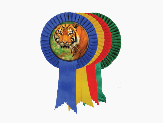 Badge4u – Znaczek – Kotyliion